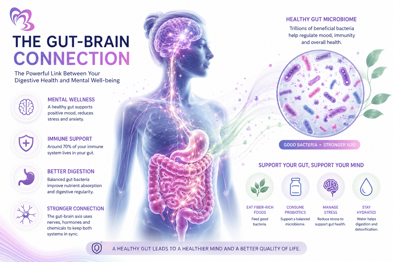 Gut Health and Anxiety