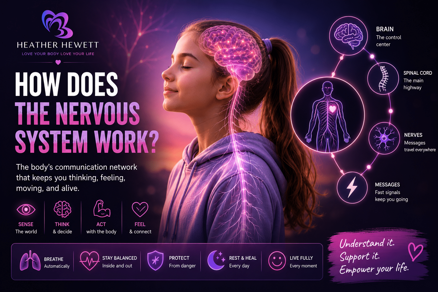 How Does the Nervous System Work
